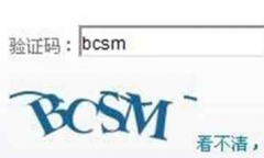  12306网站进行验证码改造以便于老人购票