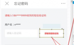 有趣的验证码