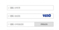  验证码之父的天才操作