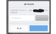 验证码的新型保障功能