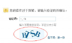 验证码出现的各种格式
