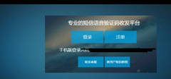 接码网站对网络发展的促进