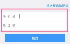 手机认证验证码接收平台发送的短信验证码很安