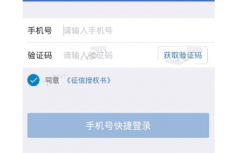 各有千秋种类多样用途广泛的短信验证码