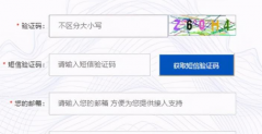 现在为什么还存在语音短信验证码有必要吗？