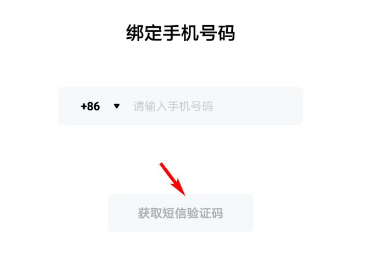 手机验证码平台竟是结束网络混乱环境的功臣