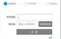 在线短信验证码平台未来会不断的递增