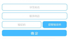 验证码收取平台辉煌时代已经来临
