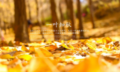 初秋时分逛公园一角时的一些想法