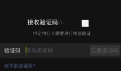 2022接码验证码接收平台繁荣背后的发展之路
