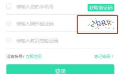 手机号短信验证码平台为何发展的如此迅速
