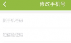 短信验证码成为了一种安全的登录方式