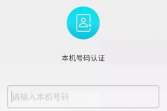 号码验证服务也是需要辩证看待的