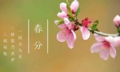 春分是一个蝴蝶飞舞万花争媚的时节