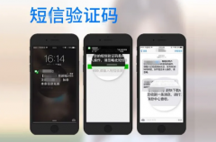 有时廉价的验证短信平台也是最昂贵的