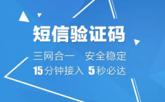 国内手机注册短信验证码平台的一些贡献