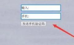 一部苹果如何使用两个手机号码