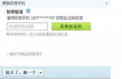 这是不是短信验证码的功能太强大了