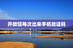 打开微信每次出来手机验证码