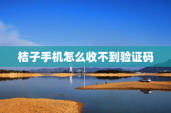 桔子手机怎么收不到验证码