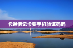 卡通借记卡要手机验证码吗