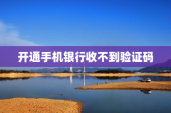 开通手机银行收不到验证码