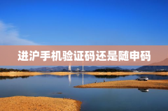 进沪手机验证码还是随申码