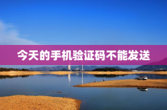 今天的手机验证码不能发送