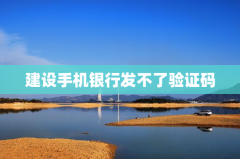 建设手机银行发不了验证码怎么办