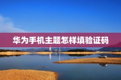 华为手机主题怎样填验证码