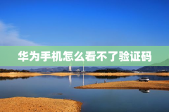 华为手机怎么看不了验证码