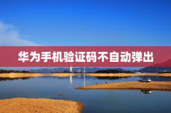 华为手机验证码不自动弹出