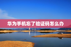 华为手机忘了验证码怎么办