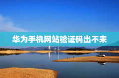 华为手机网站验证码出不来怎么办