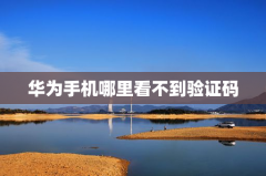 华为手机哪里看不到验证码