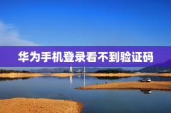 华为手机登录看不到验证码