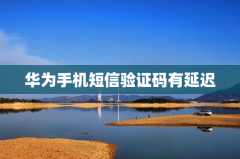华为手机短信验证码有延迟