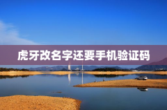 虎牙改名字还要手机验证码