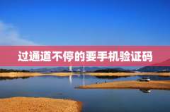 过通道不停的要手机验证码