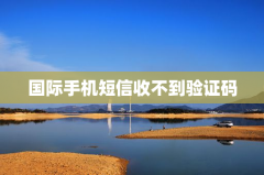 国际手机短信收不到验证码