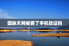 国脉天网被要了手机验证码
