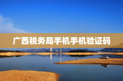 广西税务局手机验证码政策