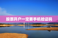 股票开户一定要手机验证码