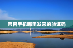 官网手机哪里发来的验证码