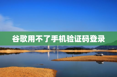谷歌用不了手机验证码登录