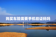 购买车险需要手机验证码吗