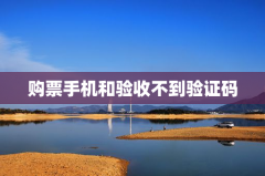 购票手机和验收不到验证码