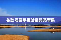 谷歌号要手机验证码吗苹果