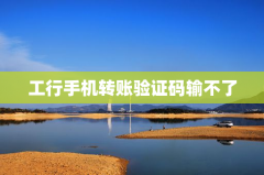 工行手机转账验证码输不了
