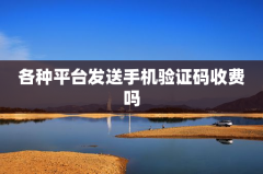 各种平台发送手机验证码收费吗